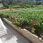 Casa Do Reguengo